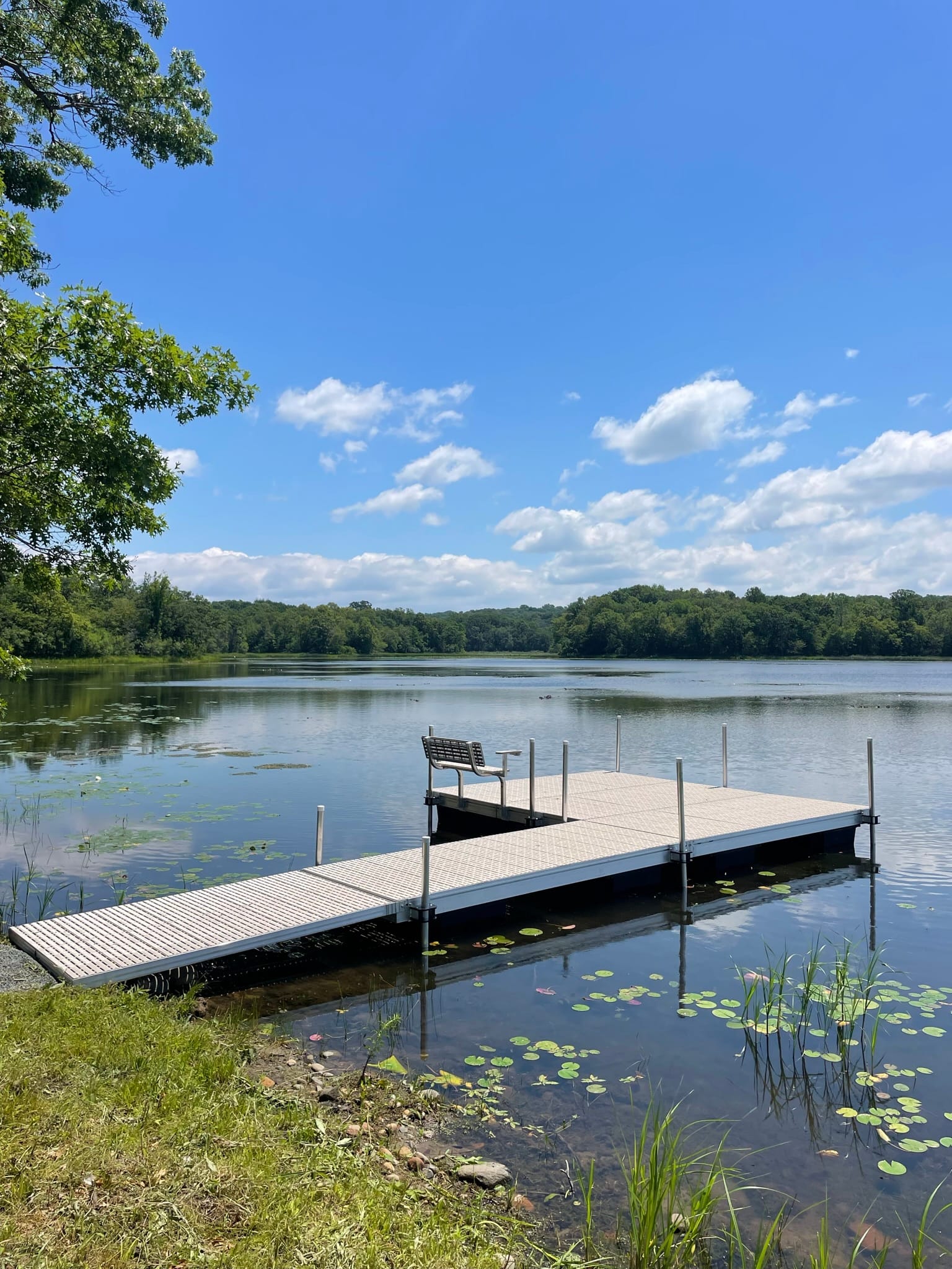 Gray sectional dock with a bench running out from a grassy bank into calm water dotted with lily pads